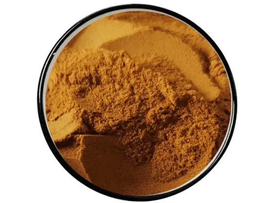 Angelica Extract Powder