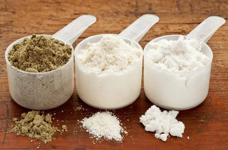Rice Protein Compare to Other Plant-Based Proteins for Muscle Building