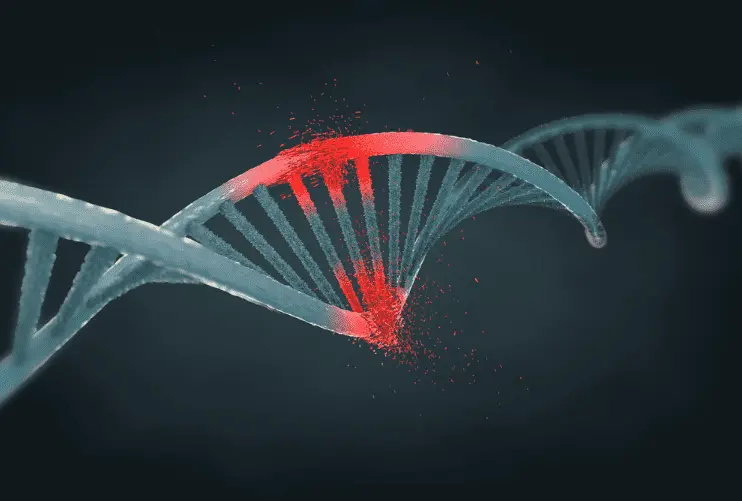 Protection Against DNA Harm