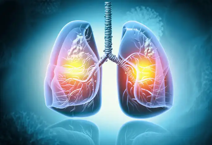 Respiratory Wellbeing Bolster