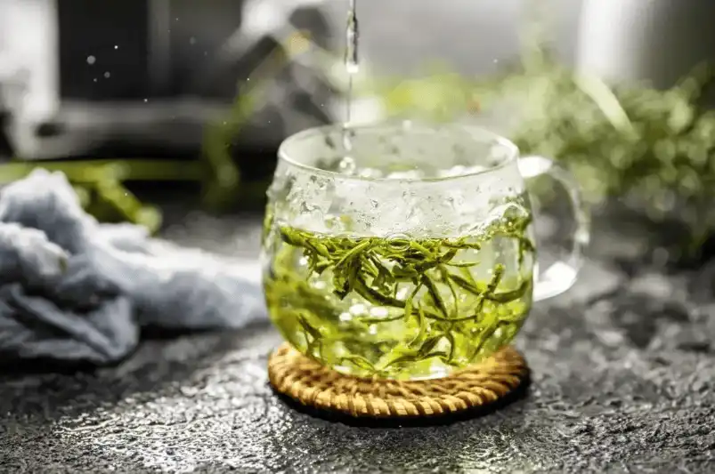 Understanding Green Tea extract