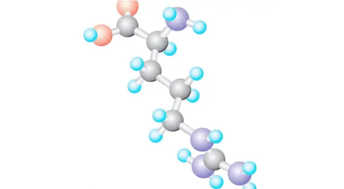 Complete Amino Acid Profile