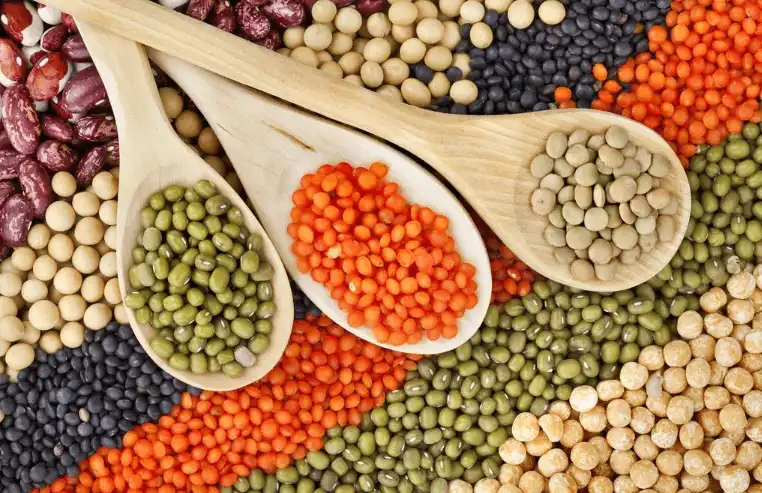Compared with other plant proteins