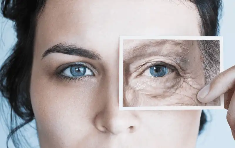 Skin Health and Anti-Aging Properties