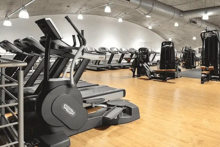 Types of Wood Commonly Used for Gym Floors