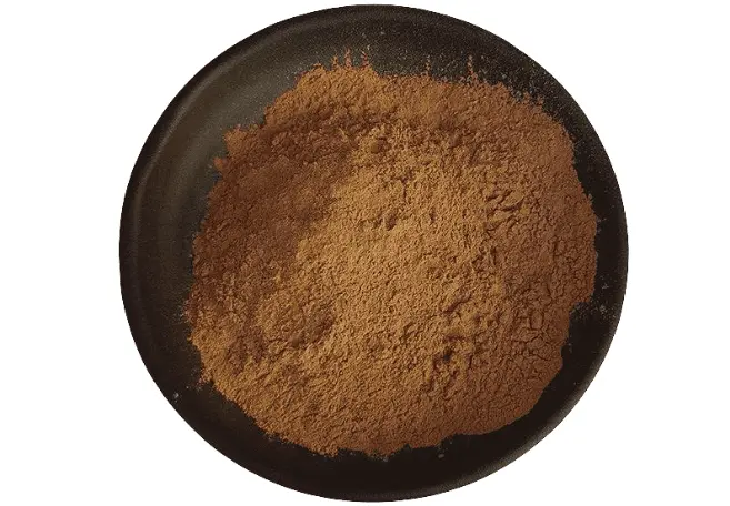 Ginkgo Biloba Extract powder