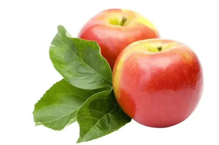 Apple the source of ursolic acid