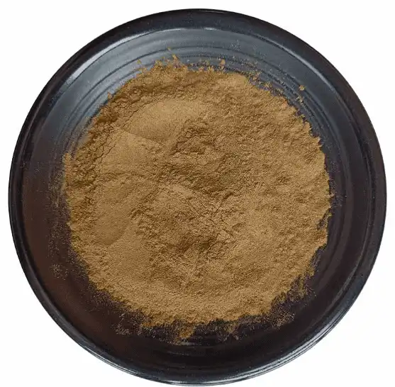 Ginkgo Biloba extract powder