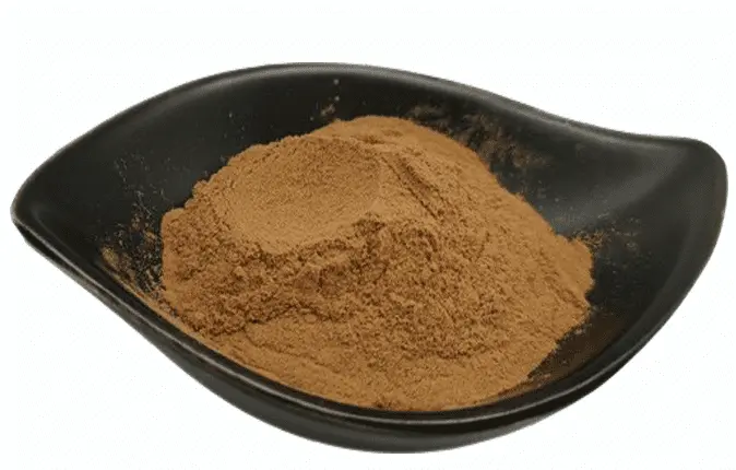 Ginkgo Biloba extract