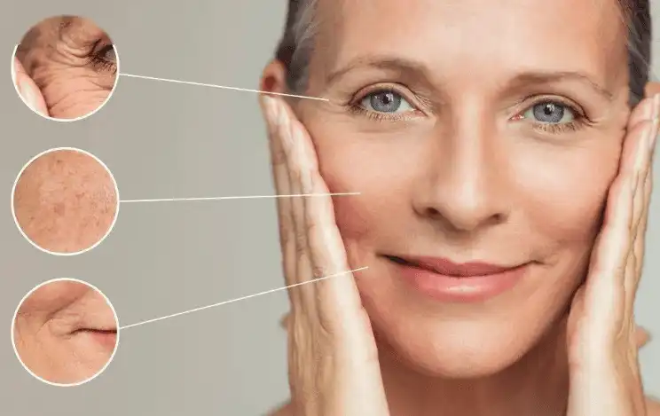 Anti-Aging and Skin Repair