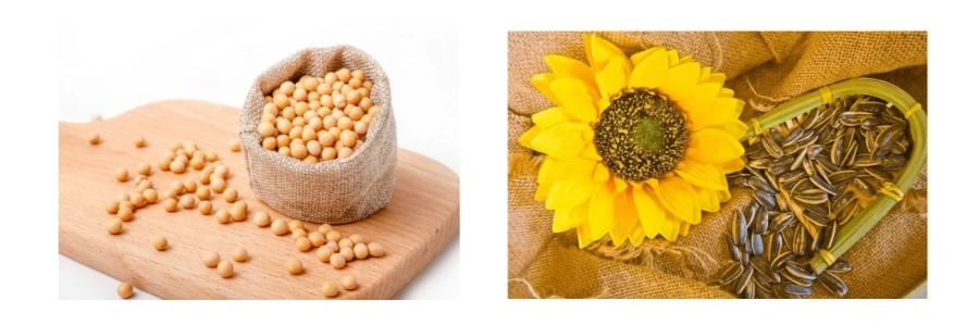 Sources of Bulk Vitamin E Powder