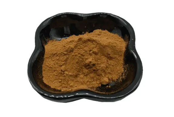 Ginger Root Extract powder