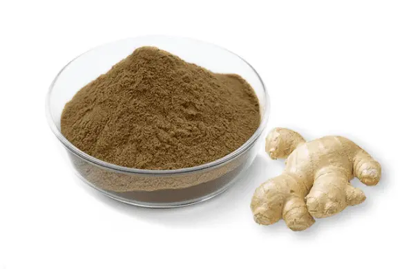 Ginger Root Extract