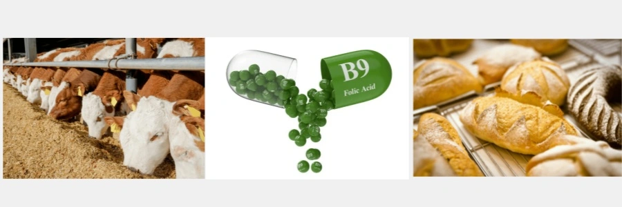 Application of vitamin b9