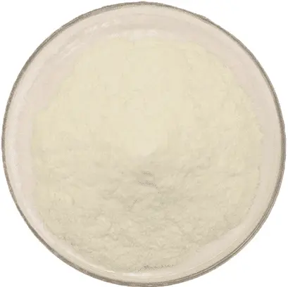 Chitosan Powder